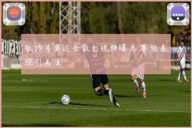 张帅可奥运会散打视频曝光 赛场表现引关注