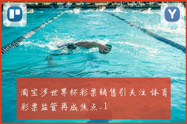 淘宝涉世界杯彩票销售引关注 体育彩票监管再成焦点_1